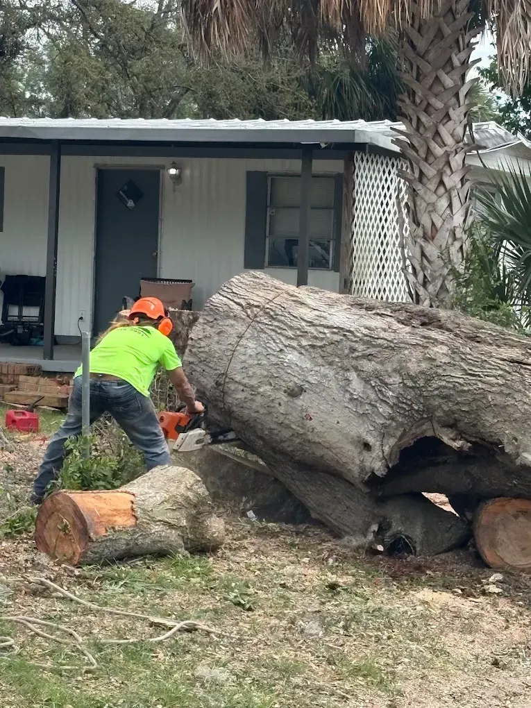 Worker in neon shirt cutting a large fallen tree trunk in front of a house