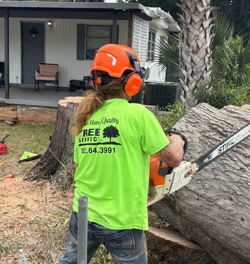 Worker in neon green shirt and orange helmet using a chainsaw to cut a large fallen tree trunk in a yard