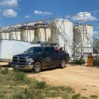 pest control near me