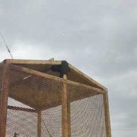 pest control near me