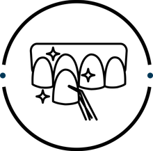 An illustration of a tooth