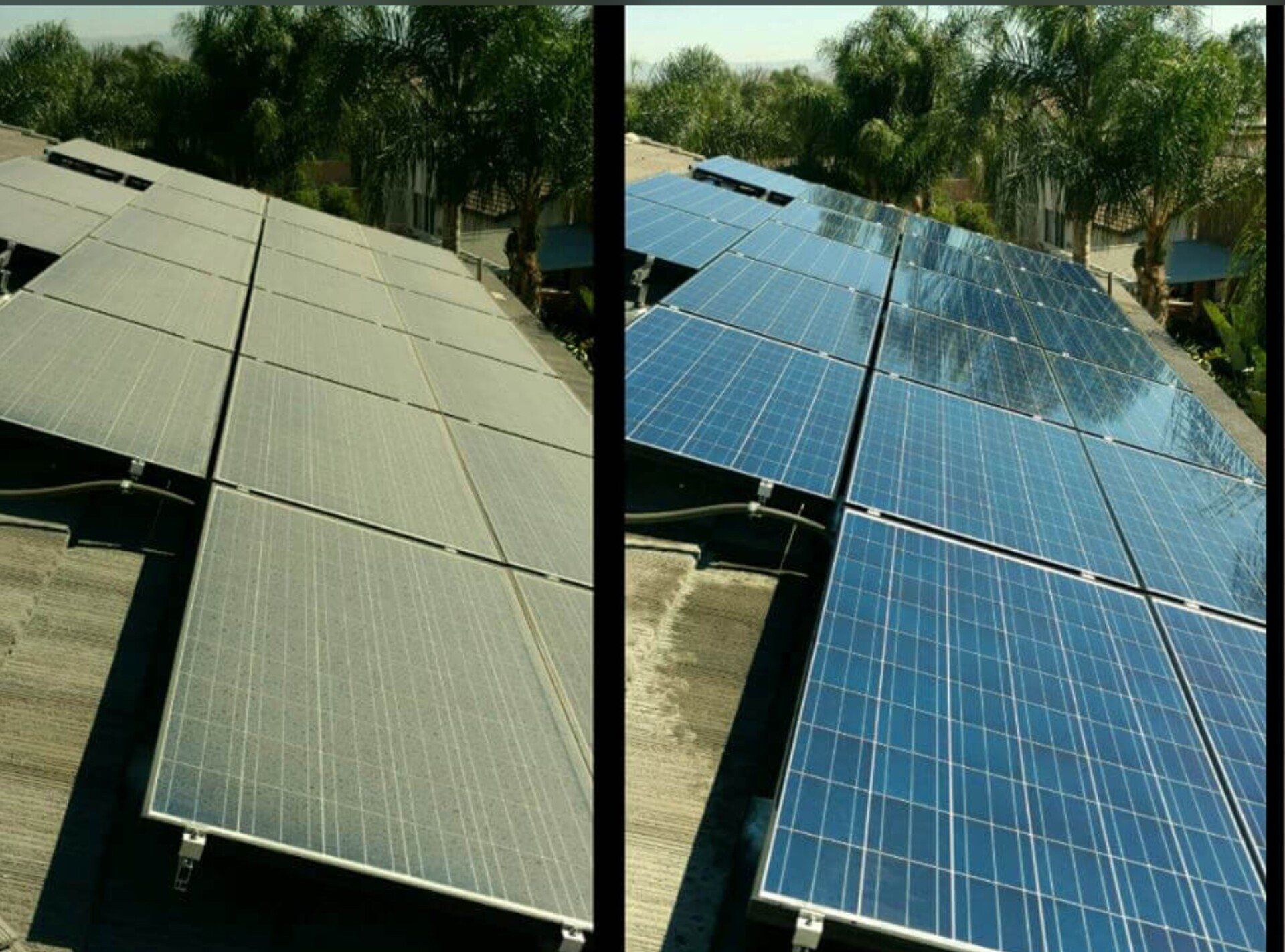 Solar panel with trees in the background — Peoria, AZ — Pro-Tech Solar Services, LLC