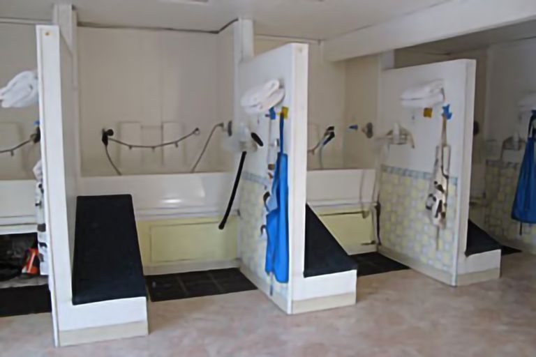 Allen’s Pet Resort Bath Facility