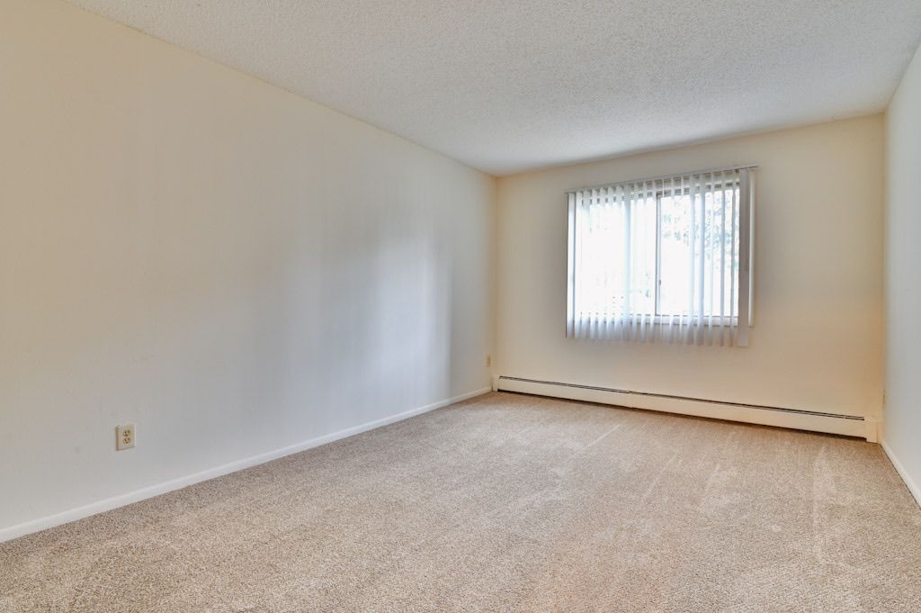 An empty living room with a large window and carpet.