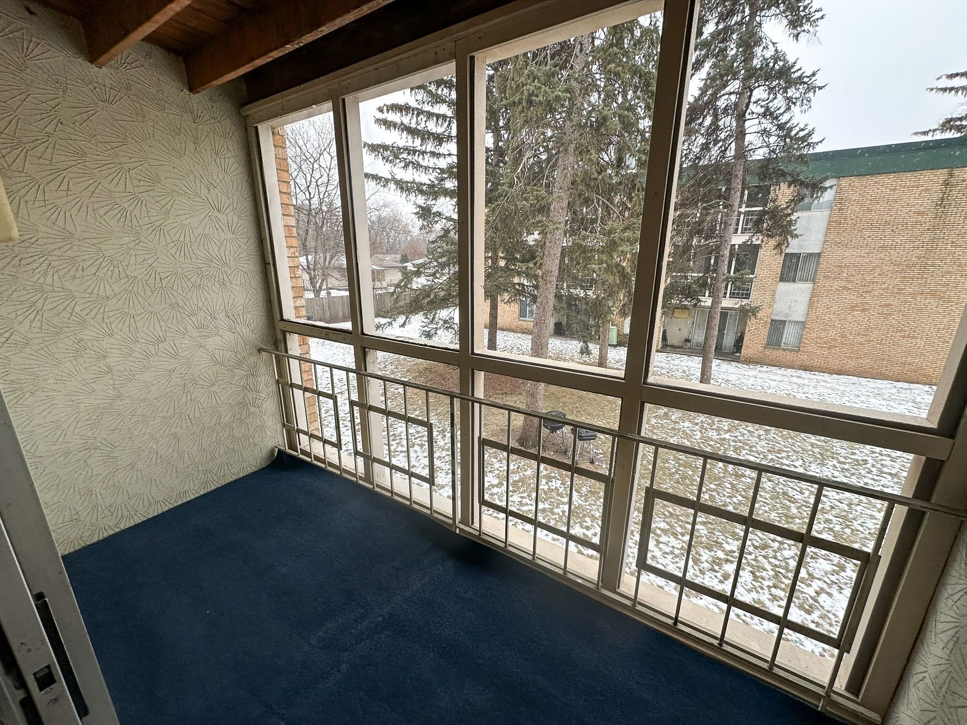 A room with a lot of windows and a blue carpet.