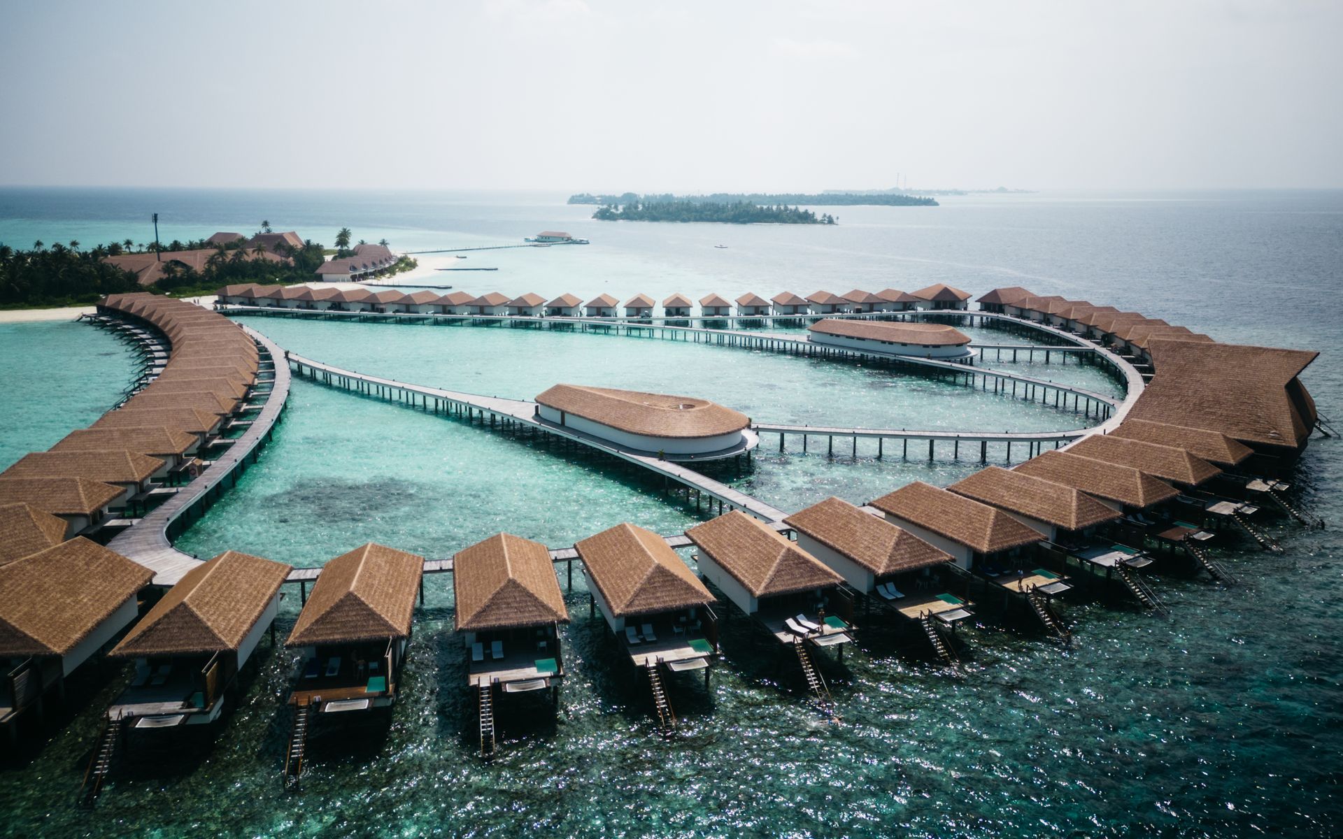 Cinnamon Velifushi