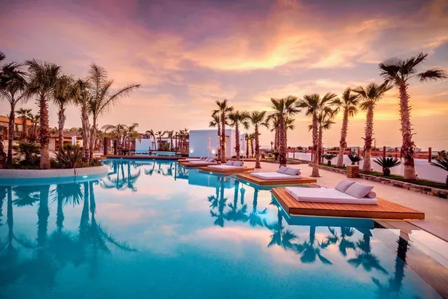 A large swimming pool surrounded by palm trees at sunset.