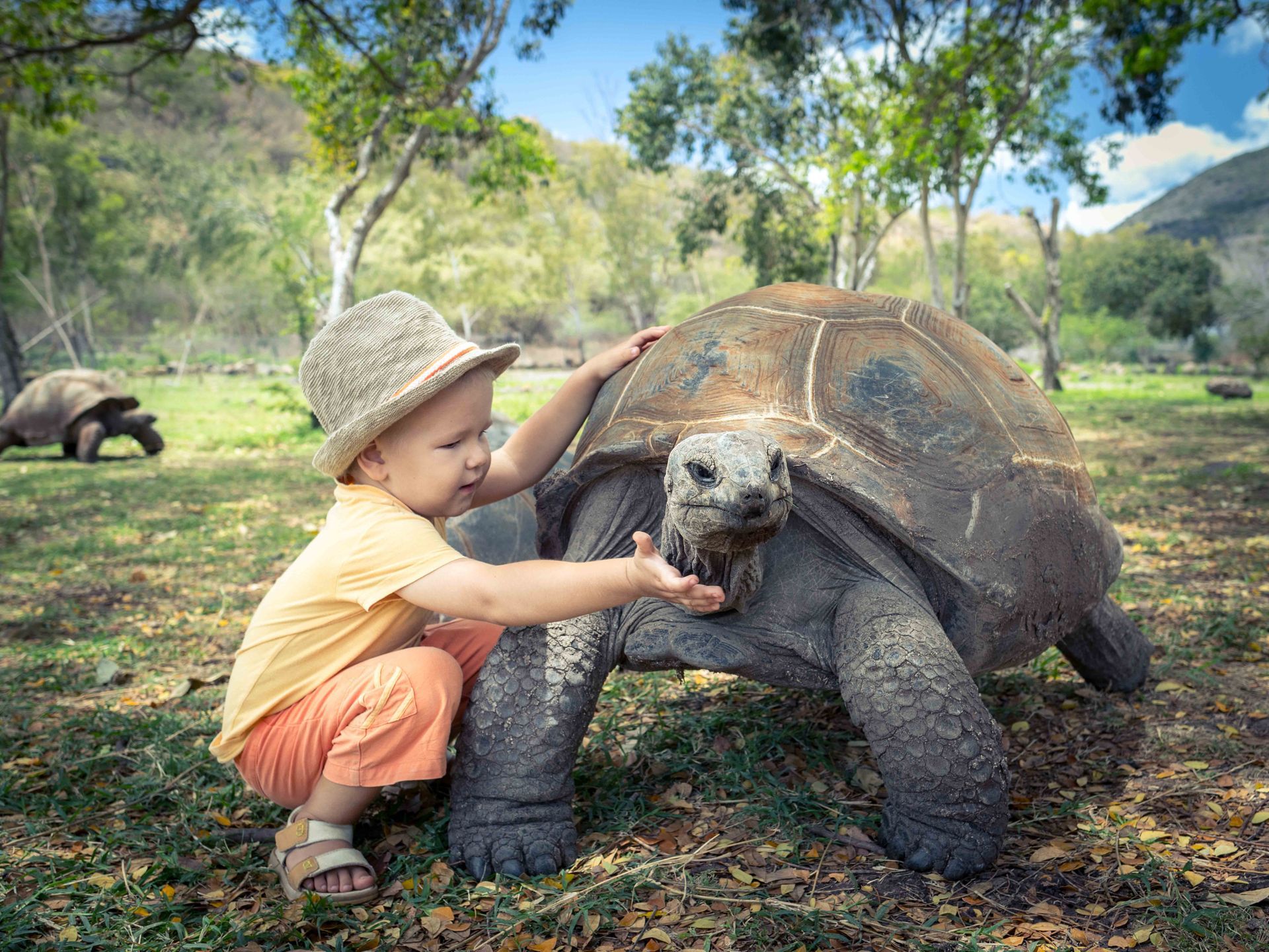 Wild life in Mauritius