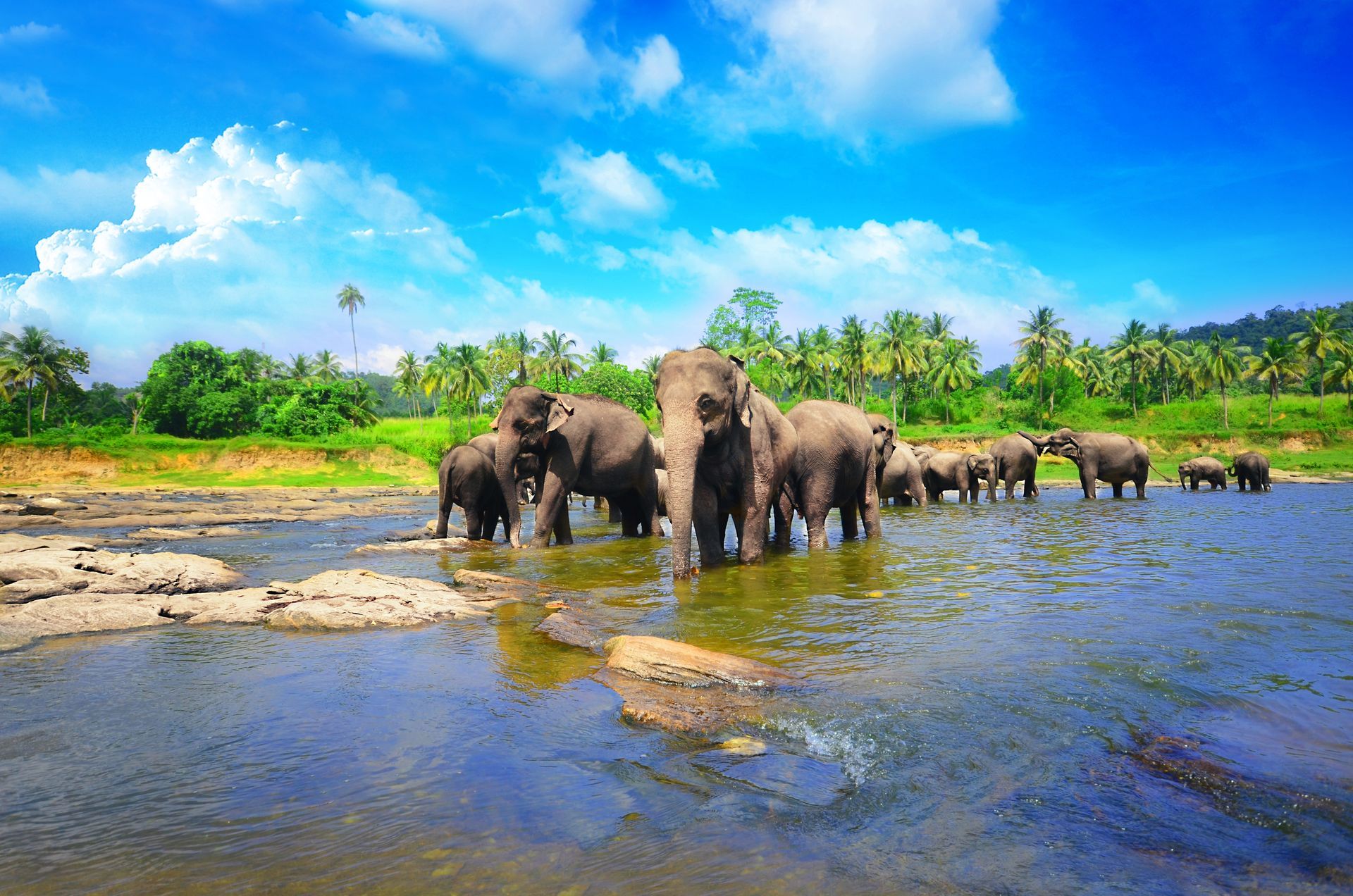 Serene Sri Lanka Tour