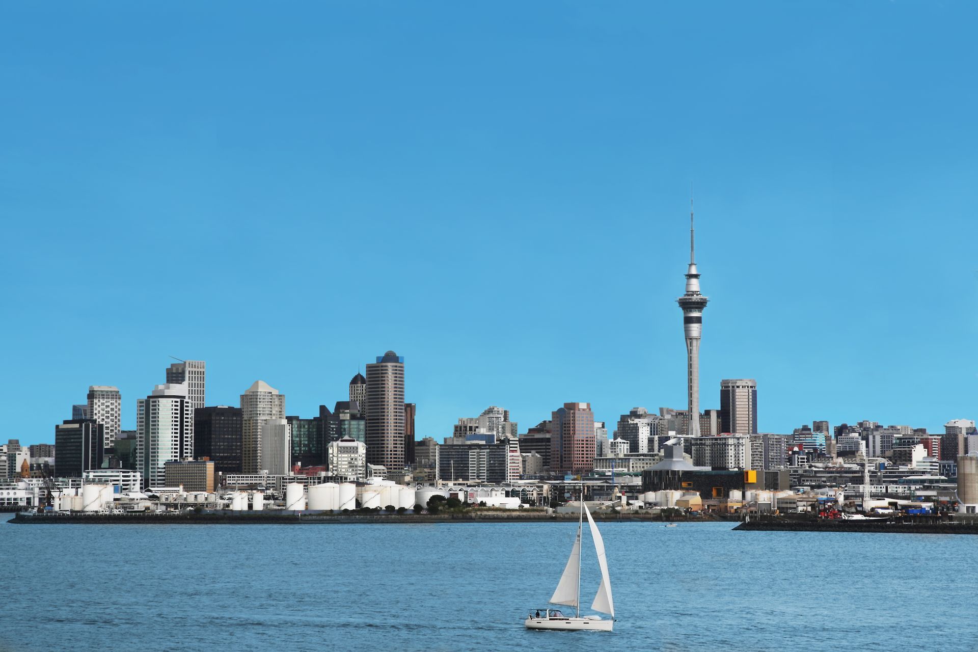 taste of New Zealand