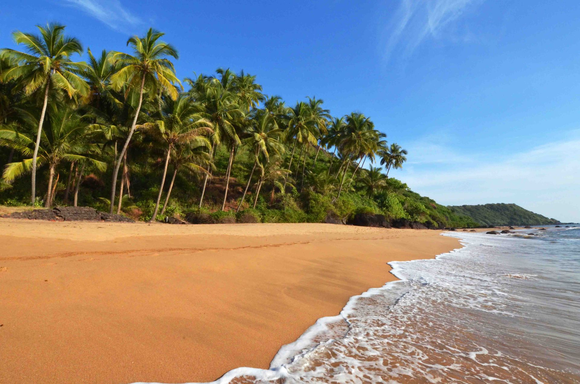A beach in Goa, India.