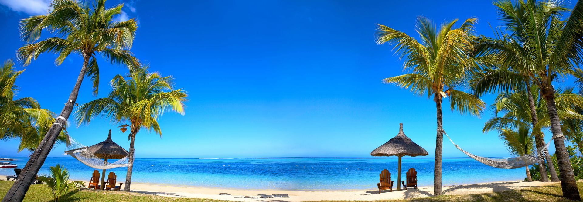 A tropical beach with palm trees , chairs , umbrellas and a hammock.