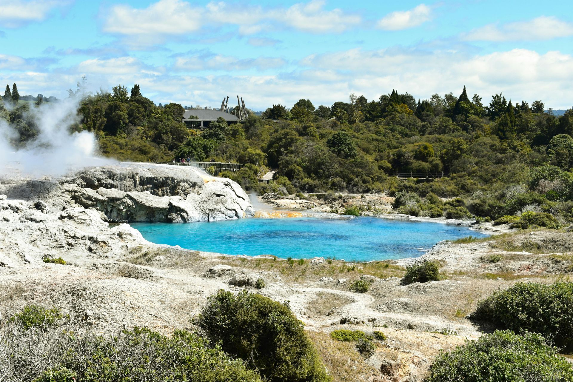 taste of New Zealand
