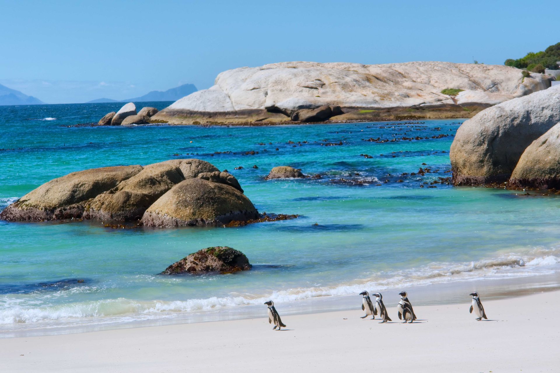 5 Star Cape Town Holidays
