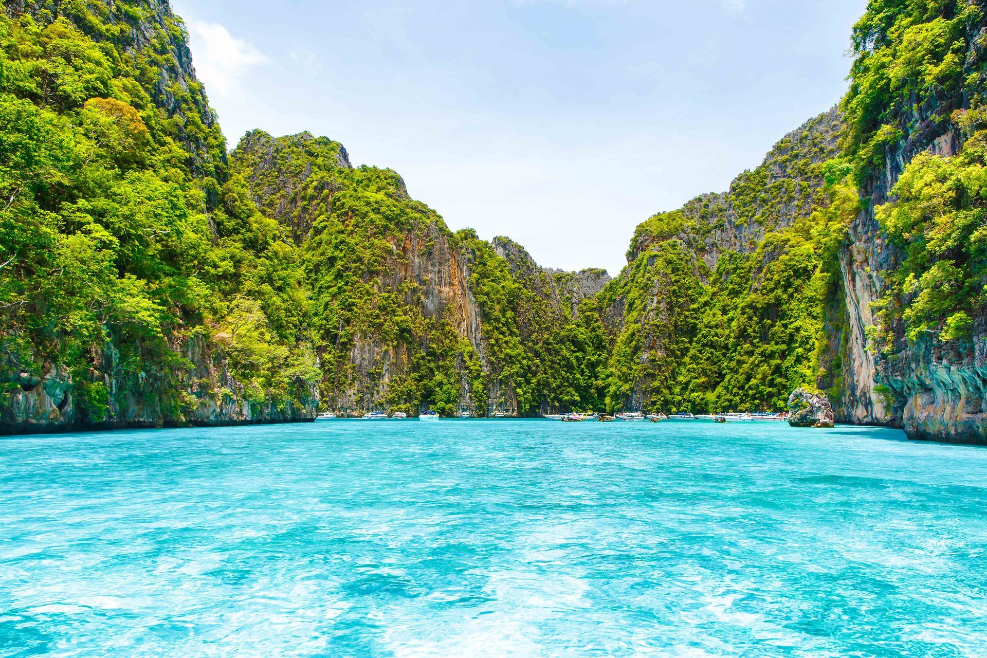Beautiful Thai vegetation in the clear blue sea in Phi Phi Island, Krabi, Thailand.