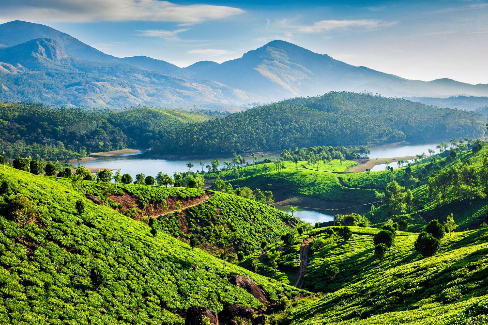 Best of Kerala tours