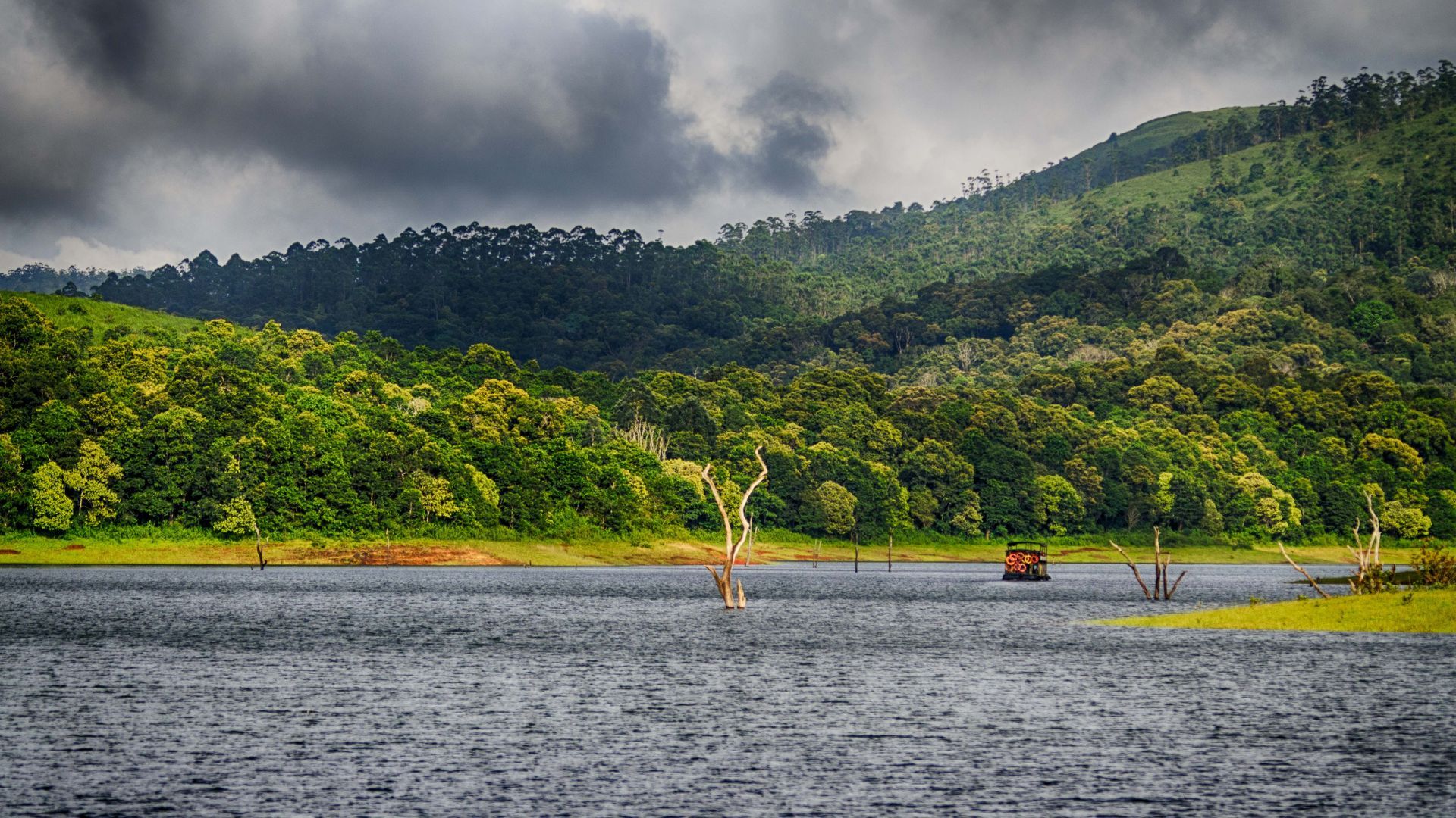 Periyar National Park in Kerala, India.