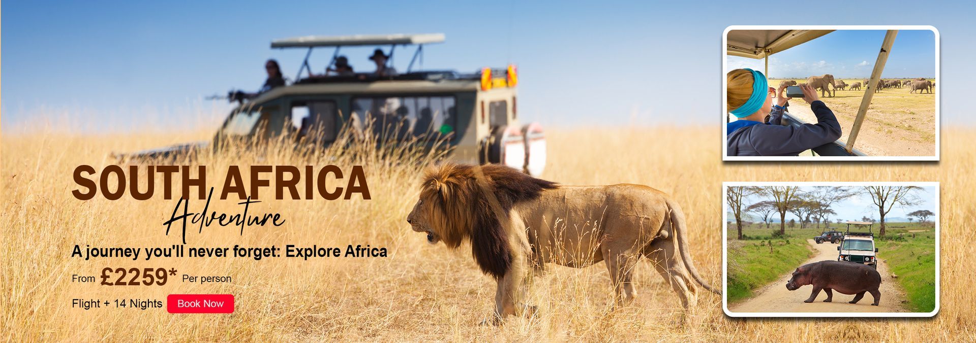 South Africa Adventure Tours