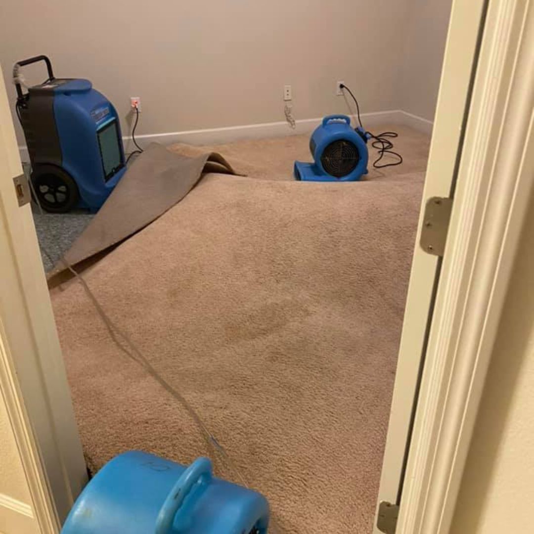 A room with a carpet and two blue fans on the floor.
