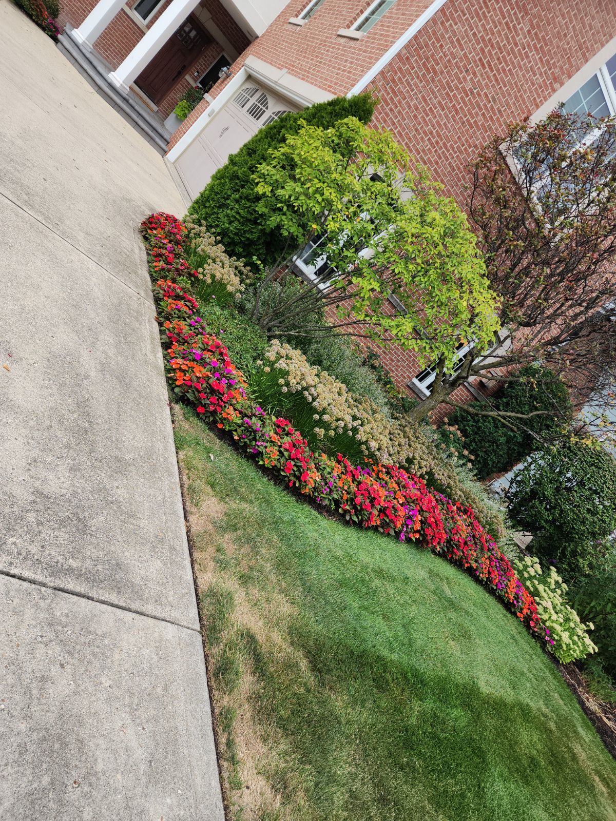 Long flower bed with red, pink, and yellow flowers in front of a brick building. Green grass and driveway.