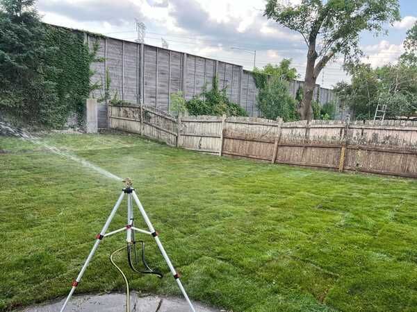 A lush green lawn with flowers in front of a house.