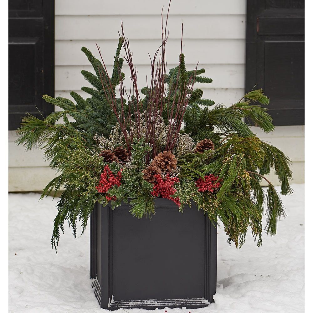 Square black planter filled with evergreen branches, pinecones, and red berries in snow.