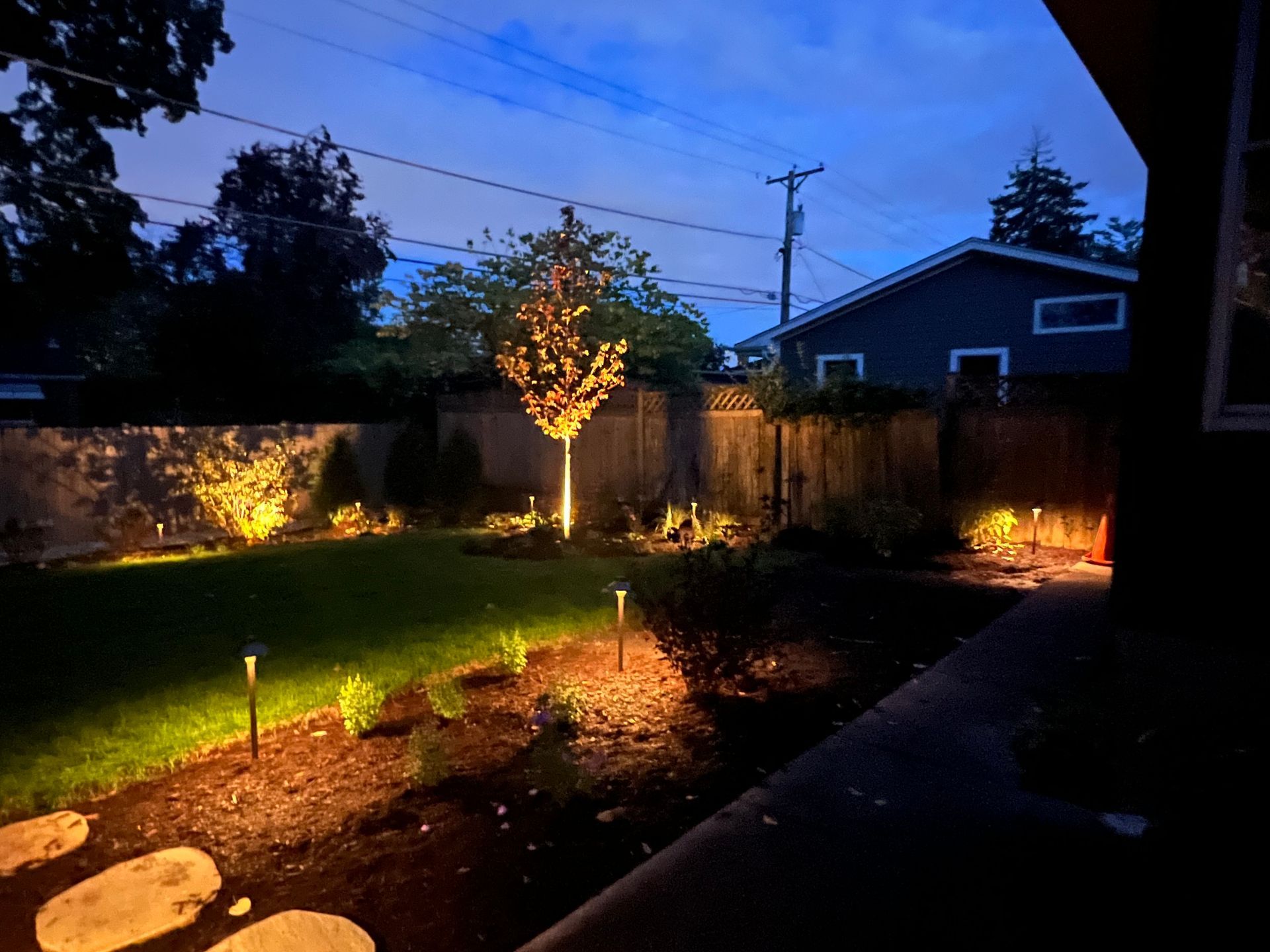 Backyard at dusk, illuminated by landscape lighting. A tree is lit from below. Green grass and wooden fence in the background.
