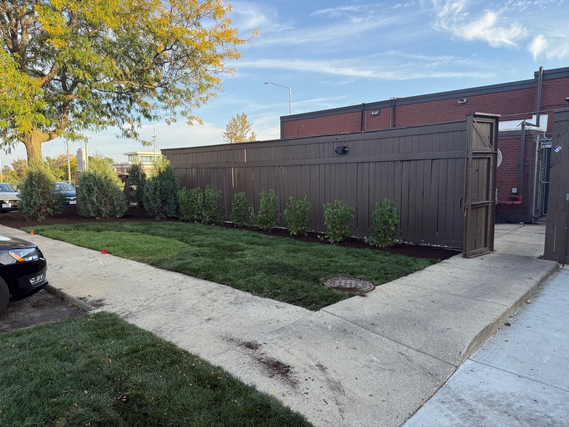 Sidewalk leading to a brown fence with shrubs and a grass lawn. Buildings in the background.