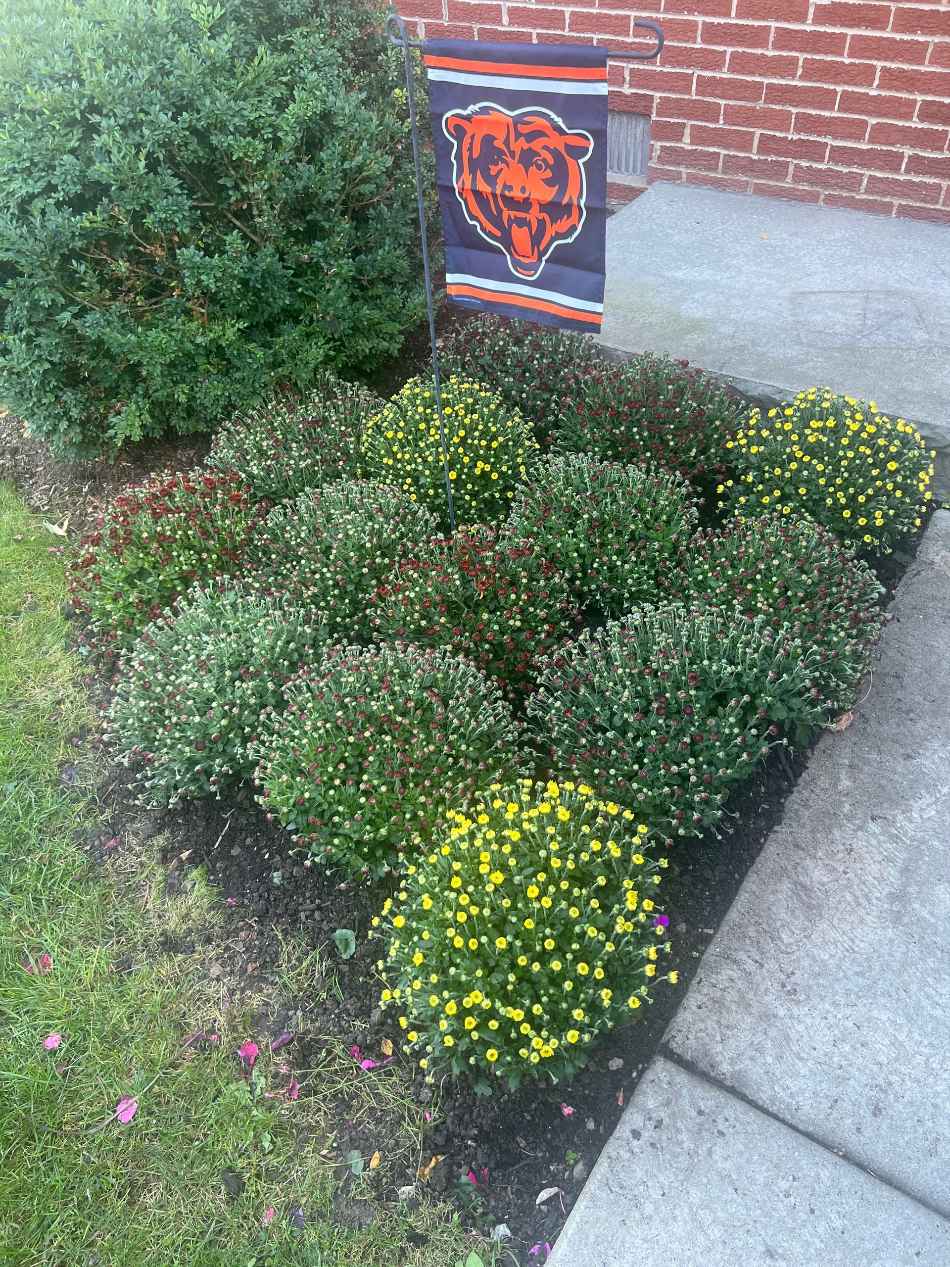 A house with a lot of flowers in front of it.