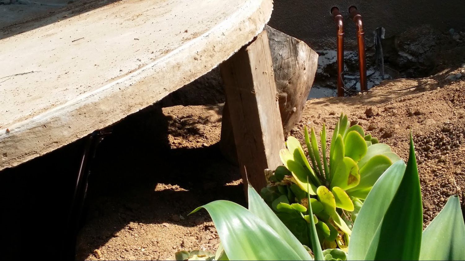 A concrete bench is sitting in the dirt next to a plant.