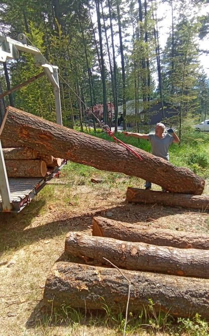 Stack of firewood logs, natural woodpile in an outdoor setting.