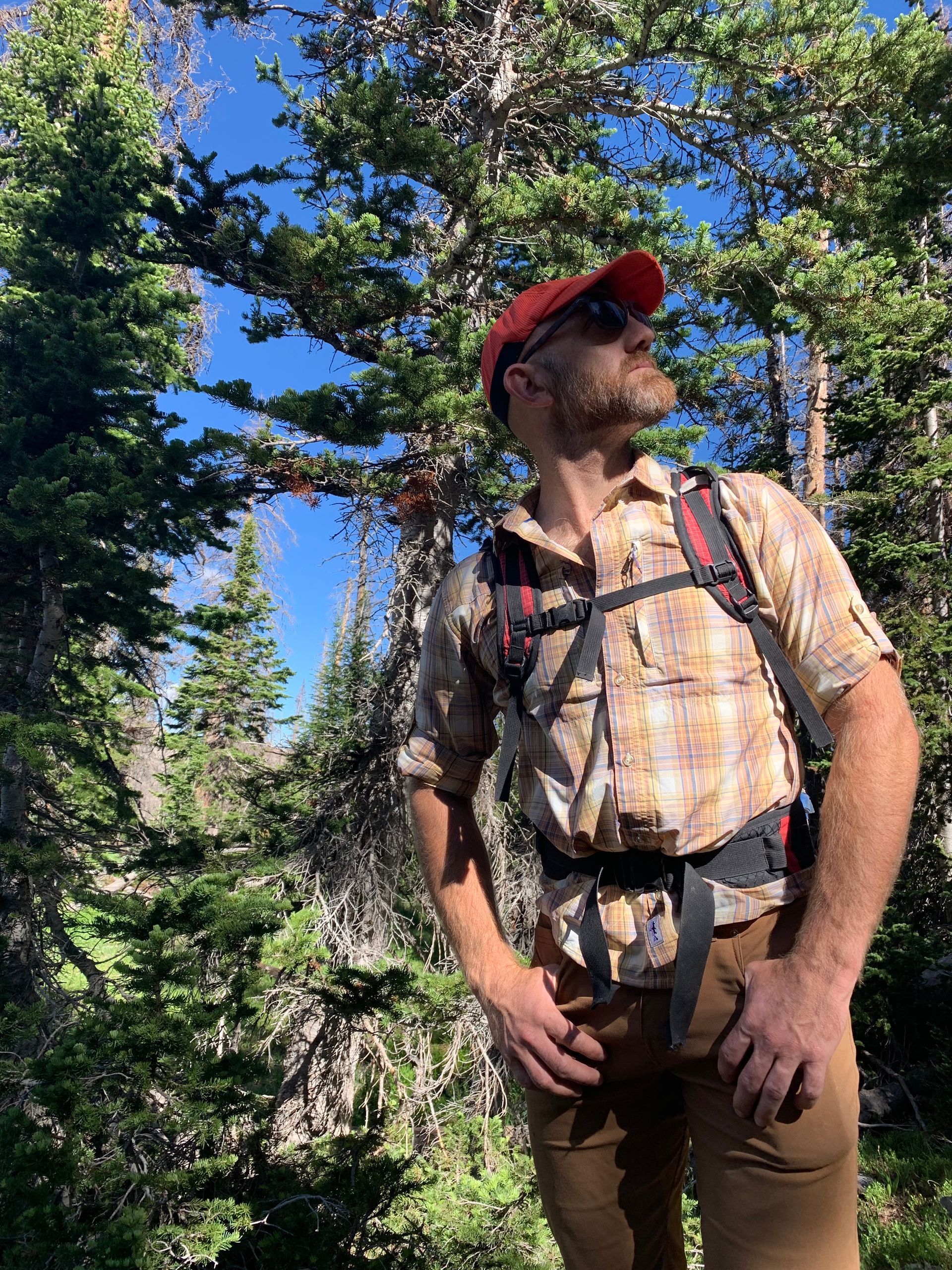 A man with a backpack is standing in the woods.