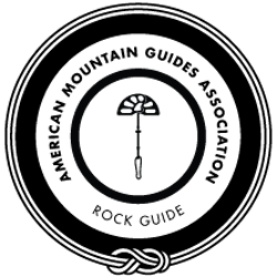 A white background with a few lines on it