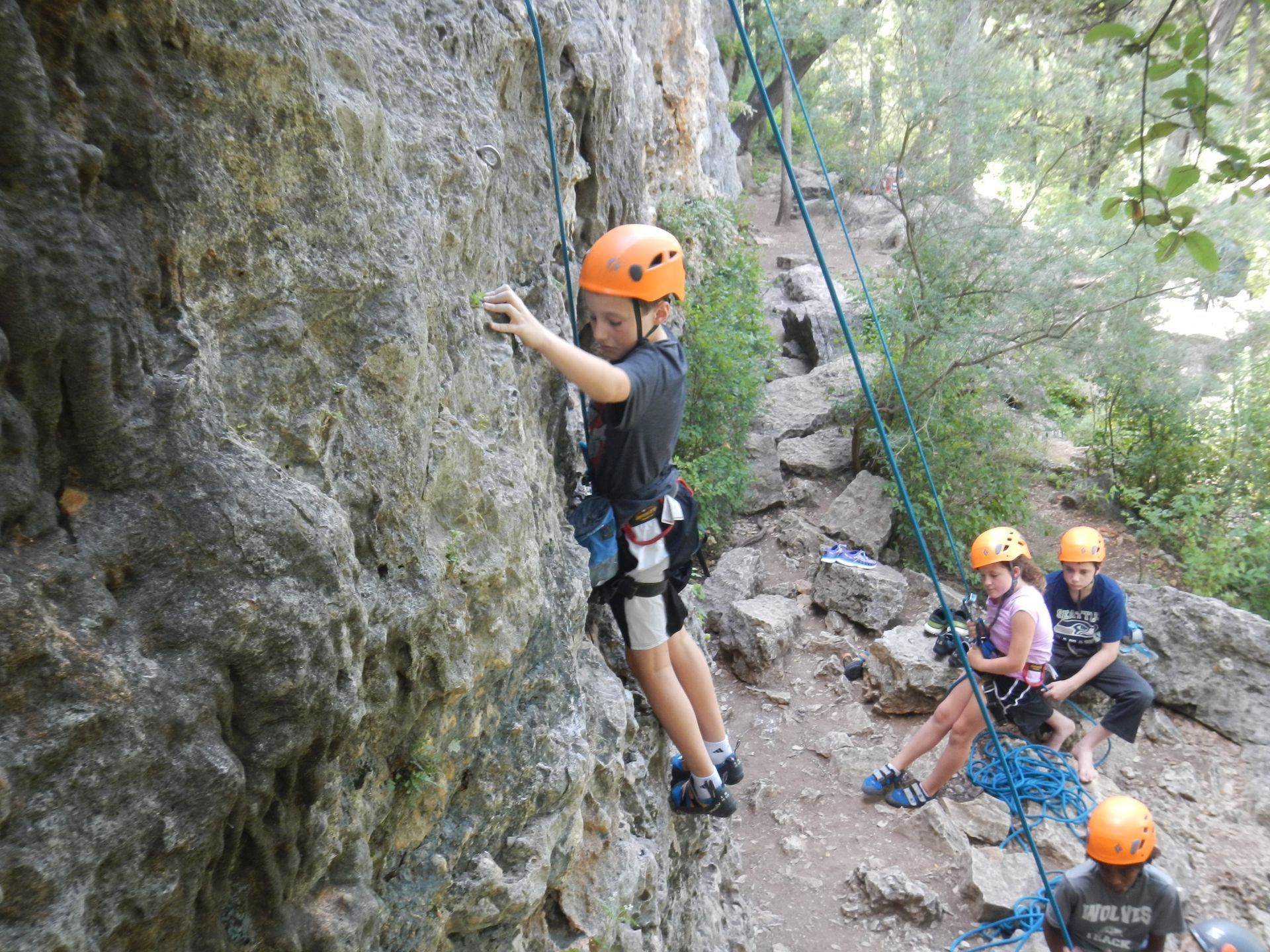 A group of children are climbing a rock wall.
