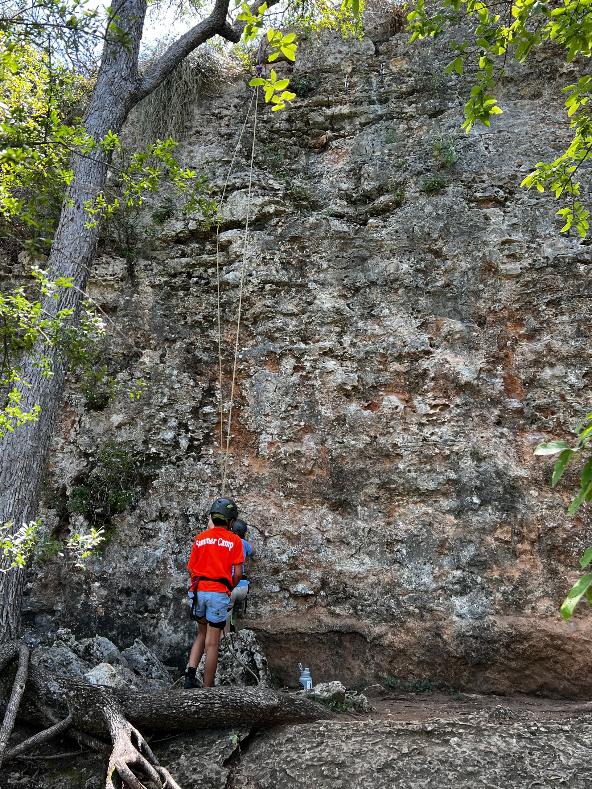 A person is climbing a rock wall in the woods.