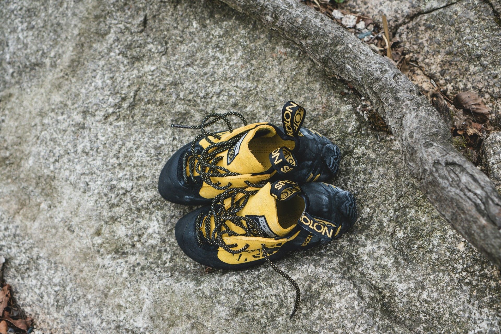Climbing shoes