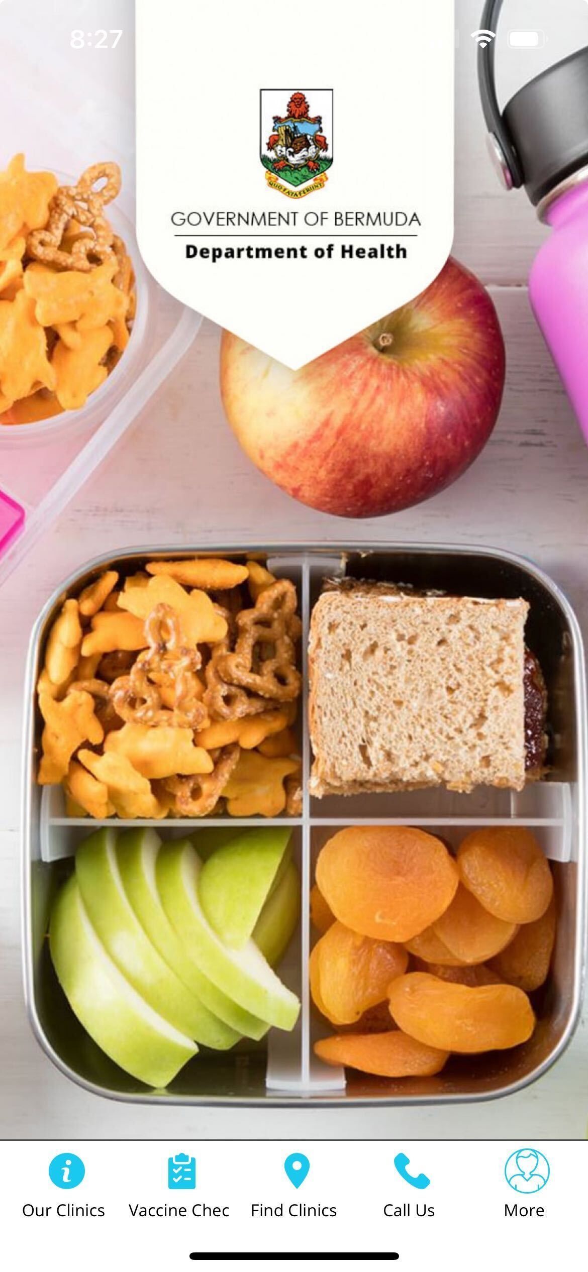 A picture of a lunch box filled with fruits and vegetables.