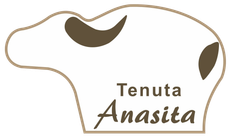 Logo Tenuta Anasita