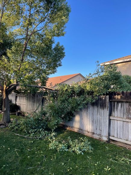 Storm Damage Removals — Yuba City, CA — Twin Cities Tree Service