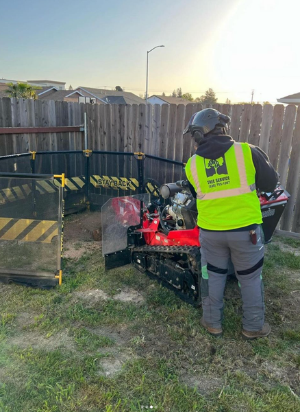 Stump Grinding — Yuba City, CA — Twin Cities Tree Service