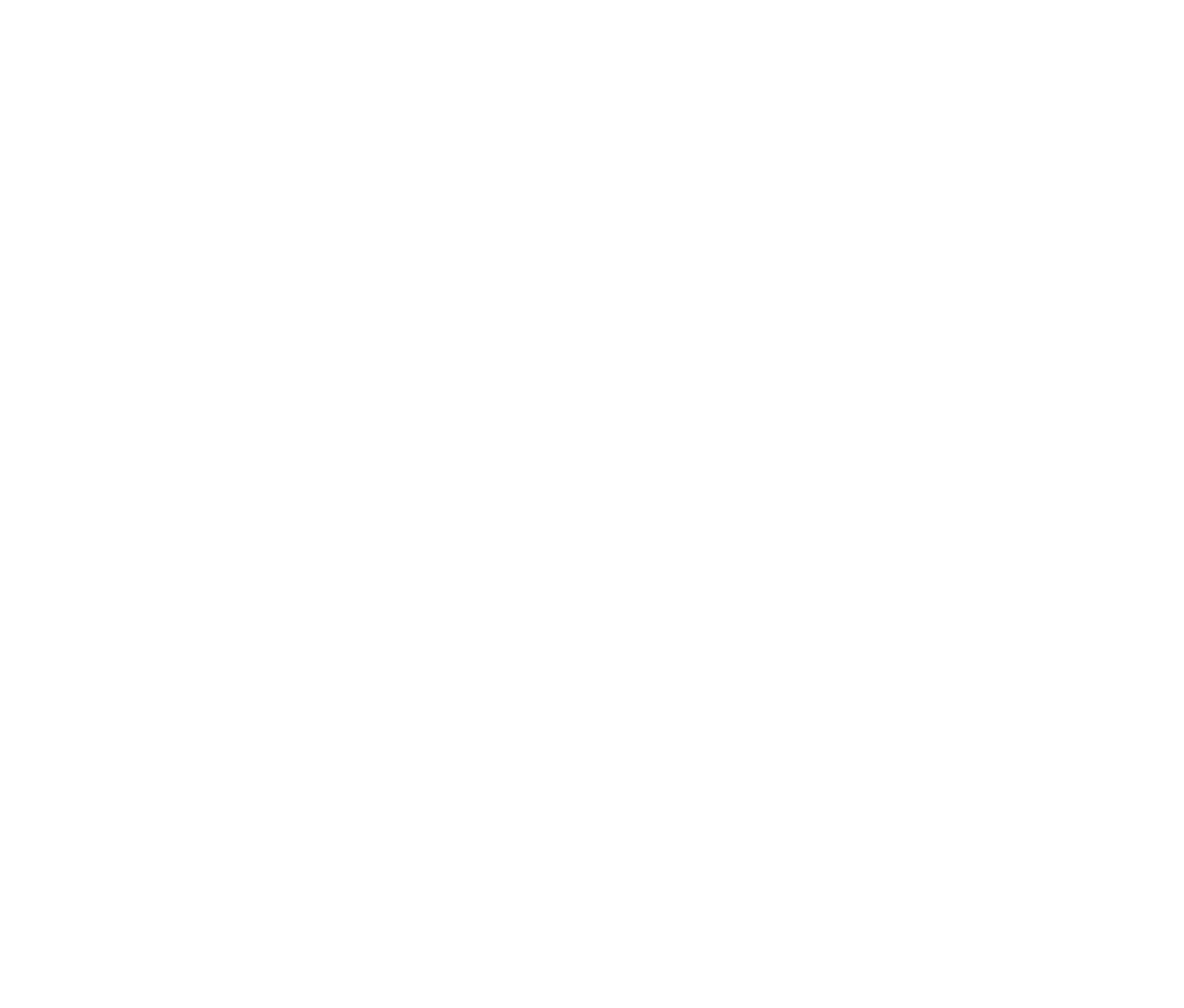 Woods Electric Logo