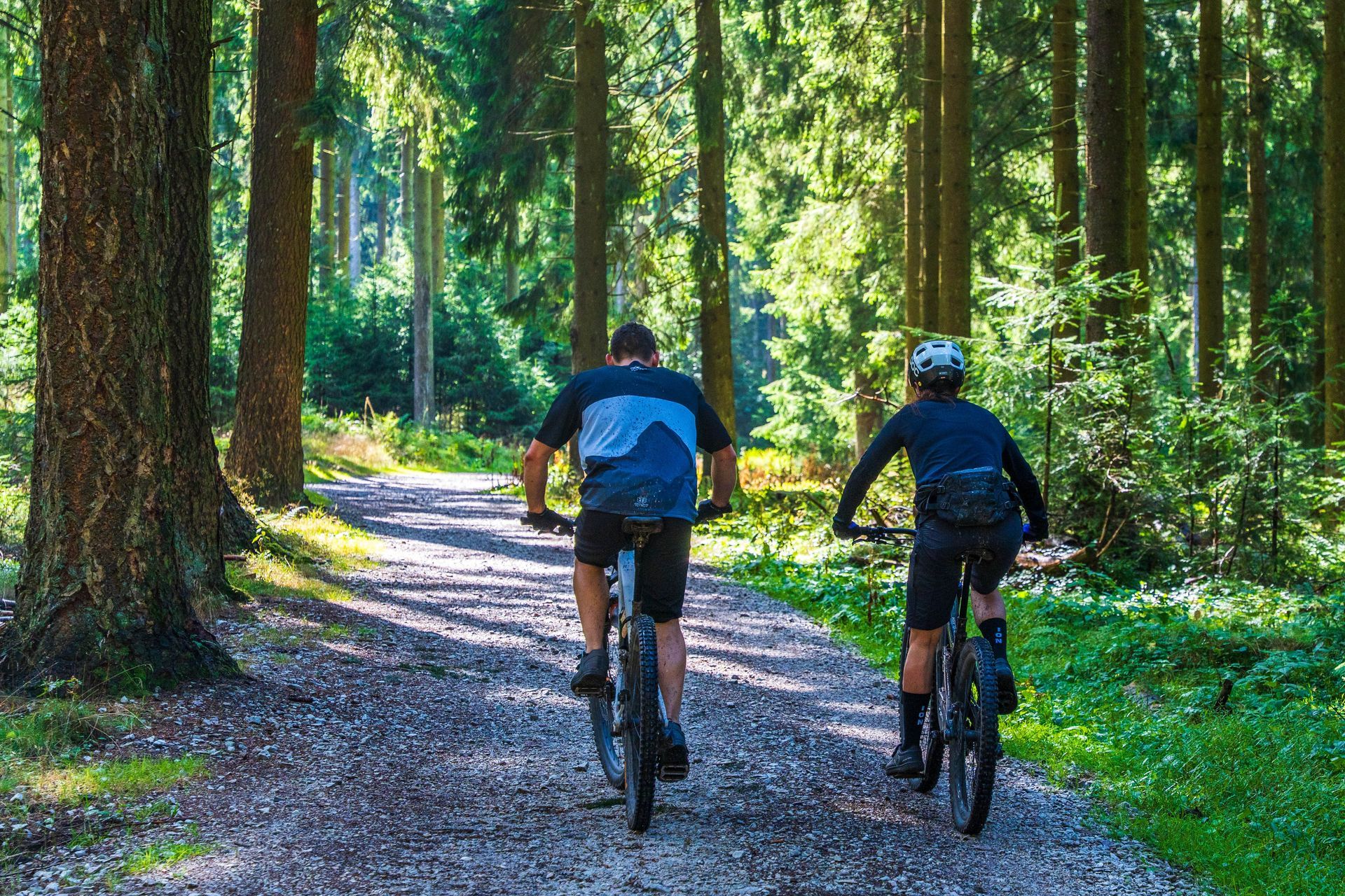 Two cyclists riding on a sunlit forest trail among tall trees