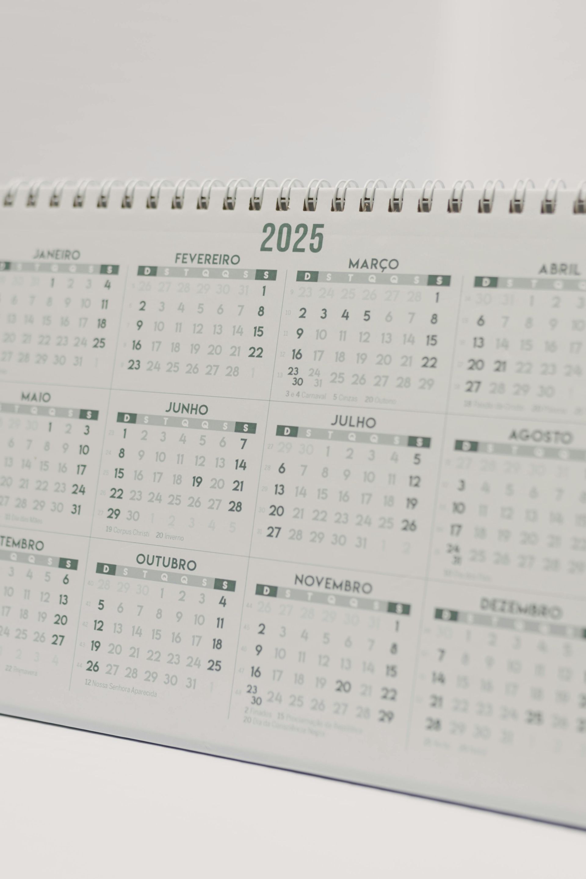 2025 calendar in Portuguese, on a white background, showing months of the year.