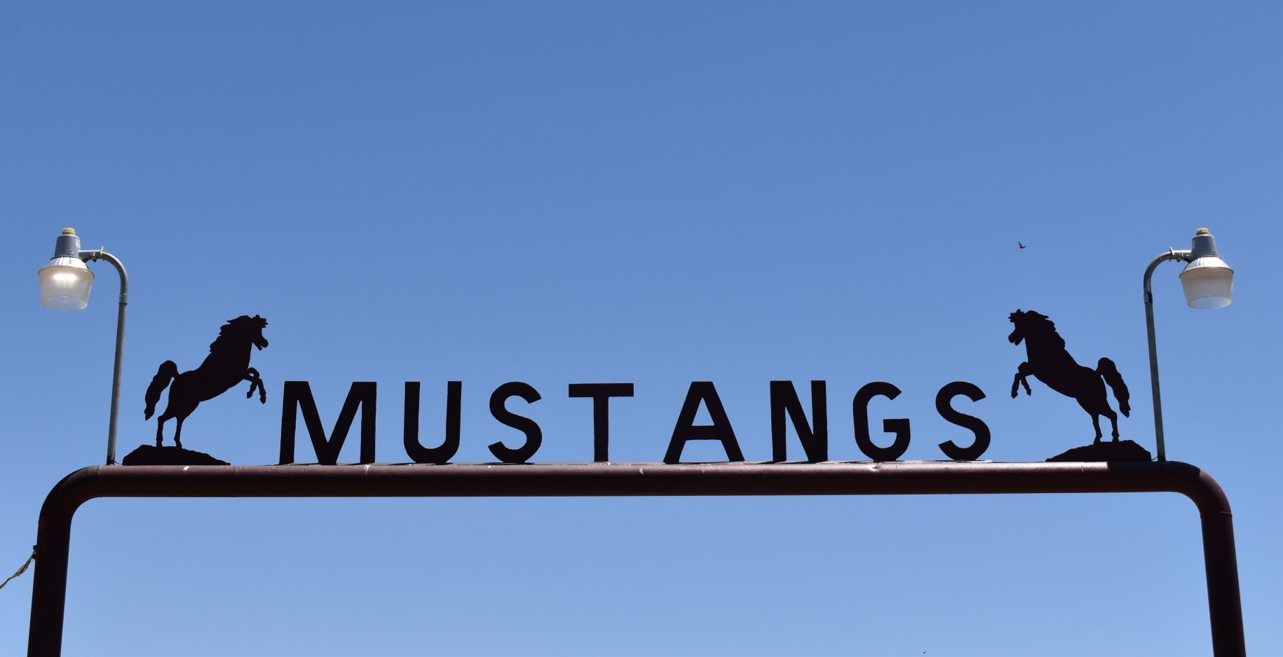 A sign that says mustangs with two horses on it
