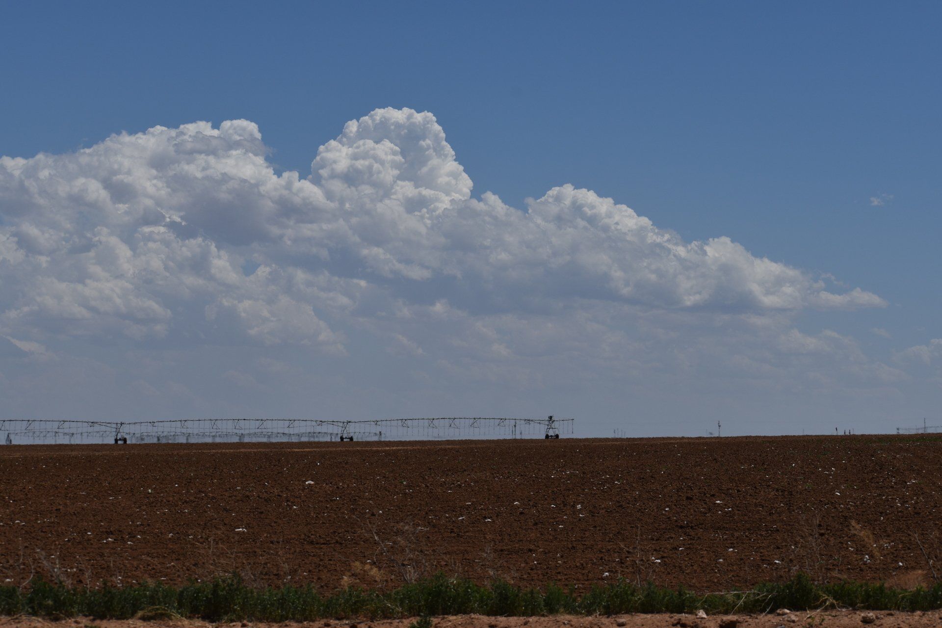 A field with a blue sky and clouds in the background