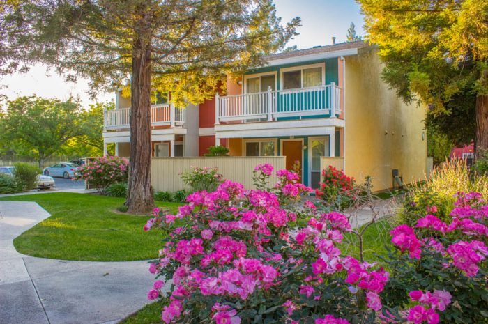 pinon apartments