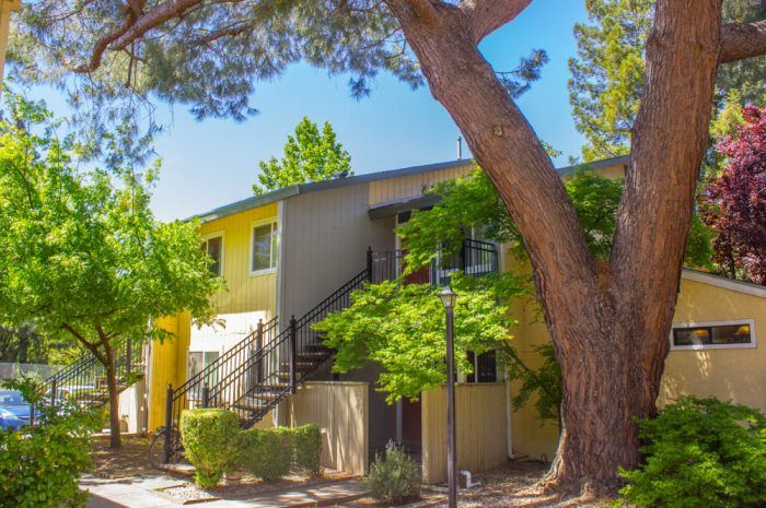 pinon apartments