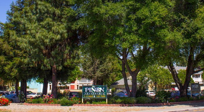 pinon apartments