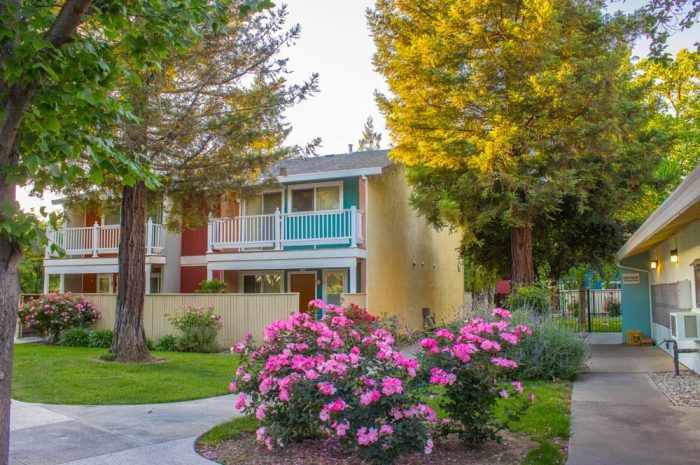 pinon apartments