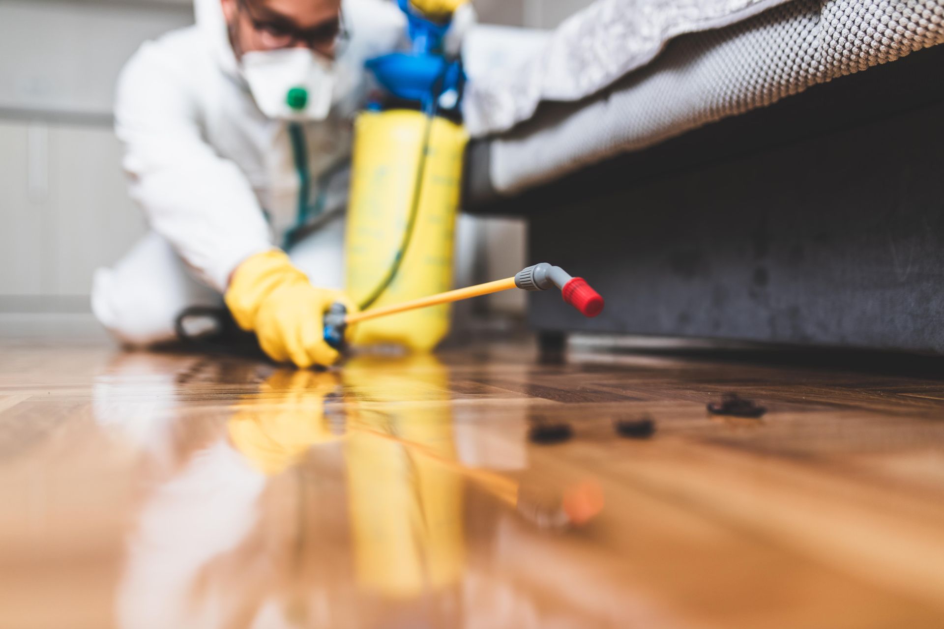 Worker in protective gear spraying disinfectant on a wooden floor with a yellow hose and red nozzle